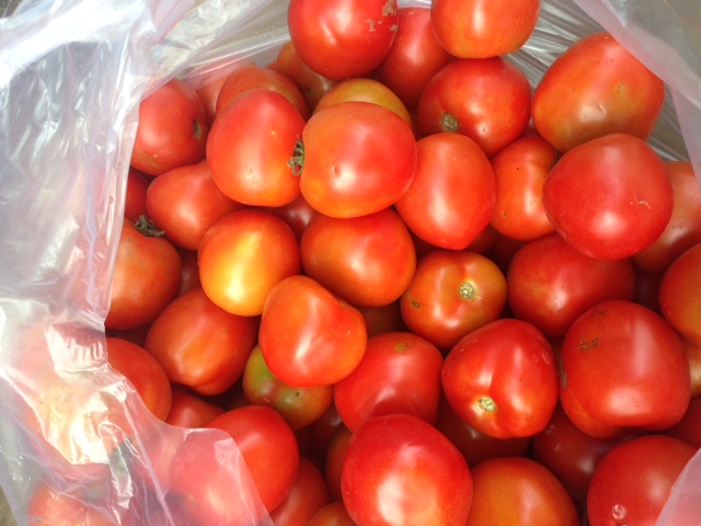 Cà chua - Nông Sản SAPO - Công Ty TNHH Thương Mại Và Sản Xuất Nông Sản SAPO Đắk Lắk